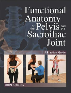 Functional Anatomy of the Pelvis & the Sacroiliac Joint – Human ...
